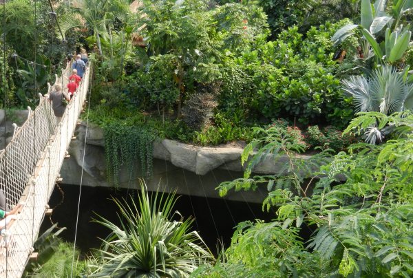 32 - Erst am 1. Juli 2011 wurde das Gondwanaland eroeffnet.jpg